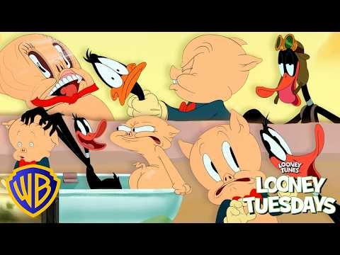 El Cerdito Porky y el Pato Lucas 🐷🦆 ¡Momentos TONTOS! 😂 | Looney Tunes en Latino @WBKidsLatino