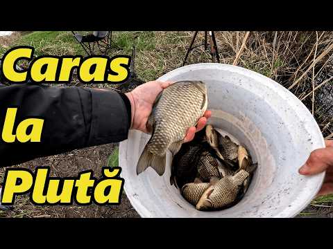 PESCUIT la PLUTĂ după CARAS pe IAZUL CLIMAUTI!