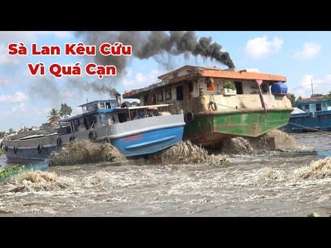 Sà Lan Kêu Cứu Vì Cạn Liên Tục Không Có Cách Nào Đi Được. 