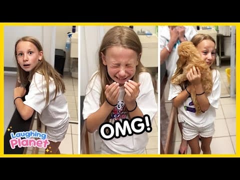 🐕❤️FULL New New Puppy Surprise Compilation 2026🐶