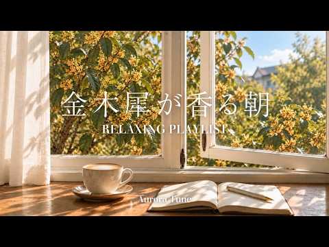 途中広告なし[BGM]秋の始まりに聴きたい癒しのカフェ音楽🎹Relaxing Autumn Piano & Guitar｜心やすらぐピアノとギター