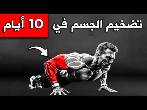 8 تمارين رهيبة لتضخيم الجسم بالكامل بسهول | خطة كاملة للمبتدئين.. (للأعمار بين 18 إلى 55)