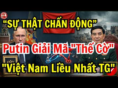 Putin Giải Mã Chiến Lược Của Việt Nam – Tại Sao Sự Liều Lĩnh Lại Đè Bẹp Siêu Cường?