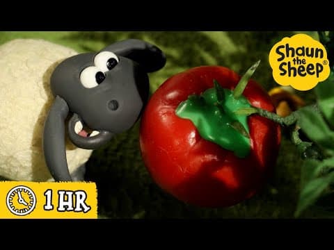 Shaun the Sheep 🐑 The Magic Tomato 🍅✨ Full Episodes Compilation [1 hour]
