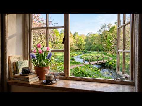 a quiet morning, tea and thoughts ☀️ jazz relaxing music for slow living, reading &amp; studying
