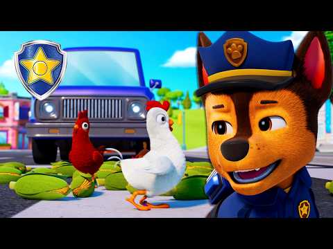 Corn Everywhere! 🌽 Chase Guides the Chickens to Safety 🐔 | Chase Official | PAW Patrol