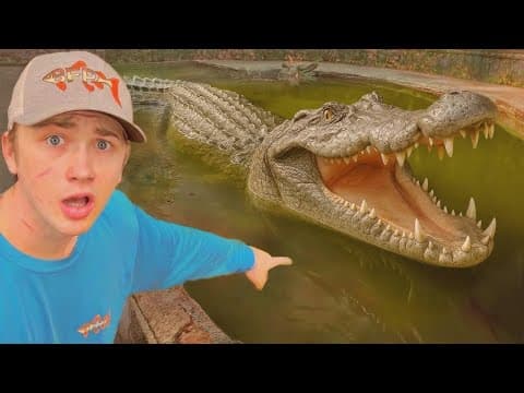 Am descoperit un aligator într-un iaz abandonat!
