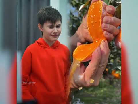 🤣👌👌👌POV 2025: Обязательно посмотрите сумасшедшую подборку клипов #юмор #fypシ #pov #fyp #длявас 😍😜