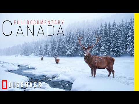 UNSEEN CANADA THE NORTHERN FRONTIER | What Lives Between Forest, Ice and Mountain? | 4K Documentary