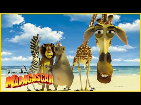 ¡Conozcan a la pandilla! 🦁 | DreamWorks Madagascar en Español Latino