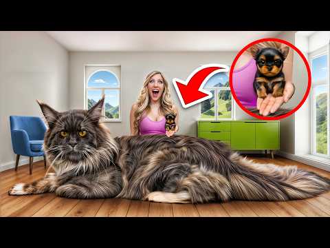 World's BIGGEST vs SMALLEST Pets!