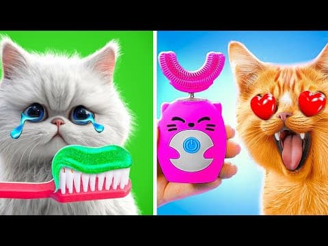 знайте простой способ остановить лай вашего "мяу"! 🎤 🥰🫶🏻
