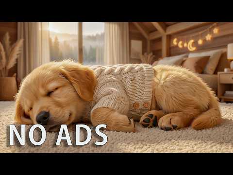 12 Hours of Deep Sleep Music for Dogs🐶💤Calming Healing Melodies for Stress Relief &Puppy Relaxation🐾