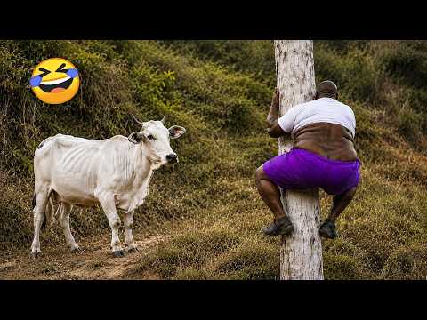Try Not To Laugh 🤣 Top 100 Funniest Videos Ever | Memes, Epic Fails & Pranks Compilation 2026 Part 9