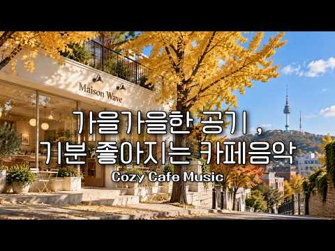 🍁가을가을한 공기, 하루 종일 틀어놓기 좋은 카페음악🌈 261014 Playlist live 24/7 🎵편안한 감성팝 플레이리스트☕