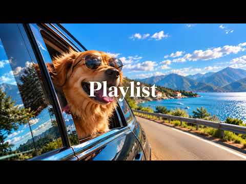 | 𝐏𝐥𝐚𝐲𝐥𝐢𝐬𝐭 | 창문 내리고 달리고 싶은 날 🐶🚙 기분 좋아지는 청량한 팝송 | Feel Good Pop · Drive · Good Vibes💿광고없음