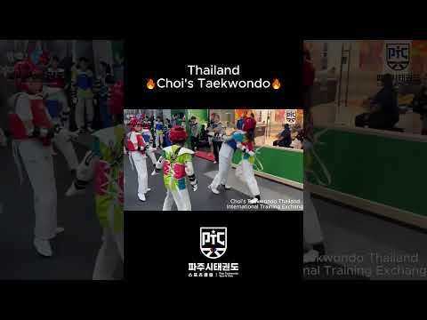 Choi's Taekwondo 1  #용인대태비태권도 #taekwondo  #파주시태권도스포츠클럽 #파주태권도