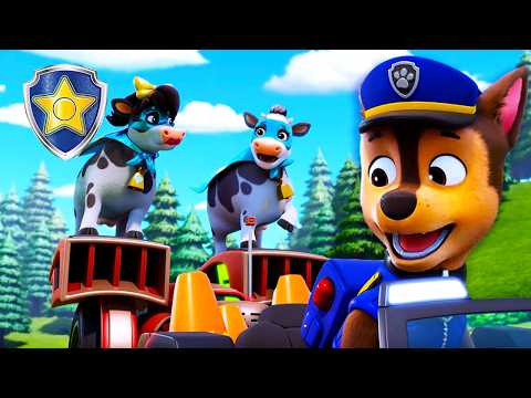¡Vacas fugitivas sueltas! 🐄 ¡Chase está en el caso! 🚨 | Chase Oficial | PAW Patrol