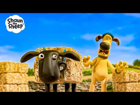 WE PRANKED BITZER SO HARD! 🐶😂 | Shaun the Sheep USA