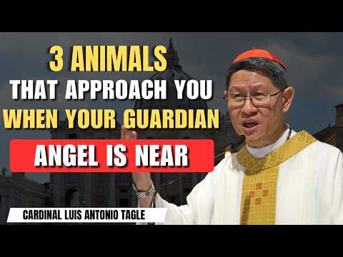 Cardinal Tagle REVEALS: 3 Animals That Show Your Guardian Angel Is Watching You