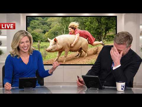 Live News Bloopers That Ended In Pure Laughter