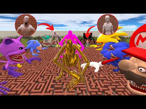 😱 SCP & SONIC EXE WERE TERRIFYING! WHO WILL SURVIVE?