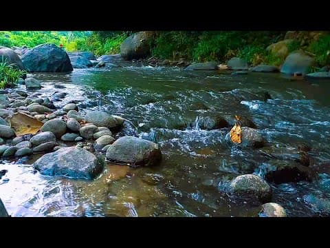Beautiful River Sounds for Sleep | River Sounds for Sleeping, Studying, and Relaxing #95