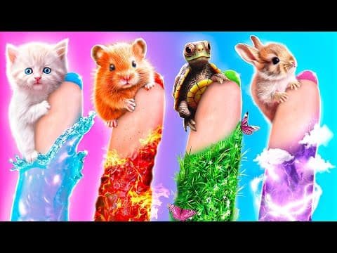 I Helped 4 Elemental Animals! Extreme Rescue in Real Life!