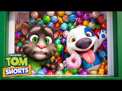 Talking Tom 🐱 Everything in the house is going haywire 😱😆 Super Toons TV