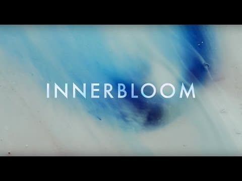 RÜFÜS DU SOL ●● Innerbloom (Official Video)