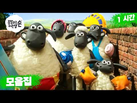 수영장에 들어갈 준비 완료! 🏖️💦🐑 | 숀 더쉽 (어린이 친화적 시리즈 - 숀 더쇼위츠)