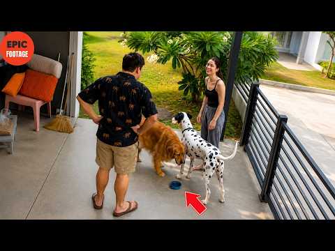 Most Incredible Moments Caught on Camera | Best Compilation #25