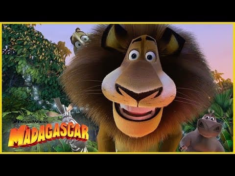 ¡Los momentos más icónicos de Madagascar  los tiempos! | DreamWorks Madagascar