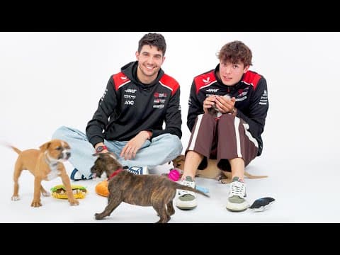 F1 Drivers Get Surprised With Puppies