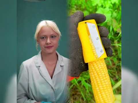 🤣👌👌👌POV 2025: Обязательно посмотрите сумасшедшую подборку клипов #юмор #fypシ #pov #fyp #длявас 😍😜