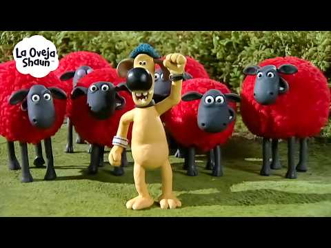 ¡ESTAS OVEJAS ROJAS SON MUY DIVERTIDAS 🐑😂 | La Oveja Shaun (Dibujos Animados Para Niños)
