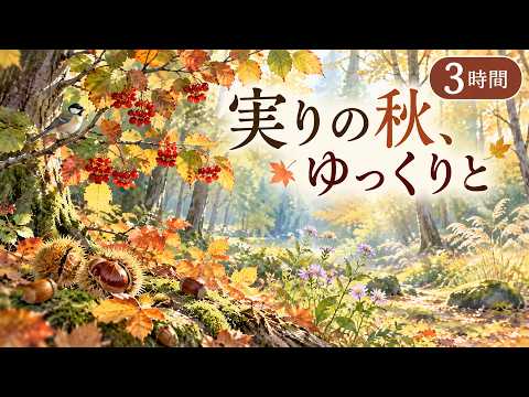 【癒しチェロBGM】秋の小さな実りを眺めながら ─ 温かなチェロとハープで穏やかな時間【3時間】