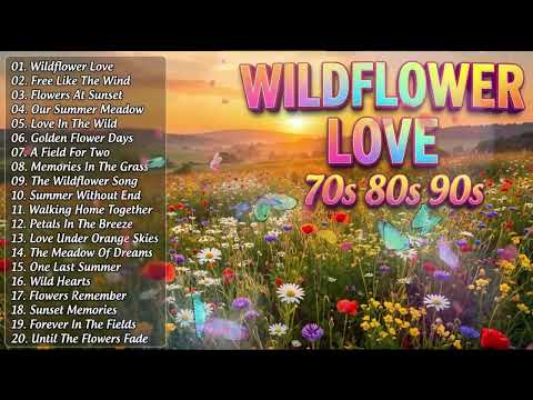 Timeless Love Songs 70s 80s 90s 🌹 Greatest Romantic Hits | Beautiful Oldies You'll Remember Melodies