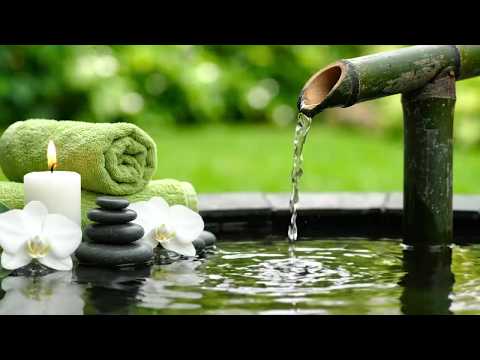 Bamboo Water Stream and Quiet Piano Music Morning 24/7 自然の音とともに音楽をリラックス バンブーウォーターファウンテン【癒し音楽BGM】