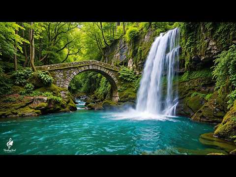 Healing Relaxing Music for Stress, Anxiety and Depression 🌿 Heals the Mind, Body and Soul