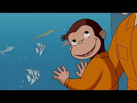 Coco erforscht den Ozean! | Coco der Neugierige | Cartoons für Kinder