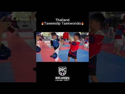 Taweesilp Taekwondo 2 #taekwondo #용인대태비태권도 #파주시태권도스포츠클럽