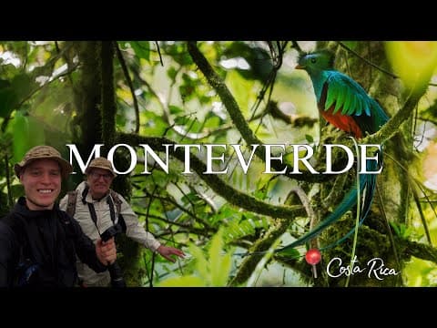 Exploring Monteverde, Costa Rica | Cloud Forest Wildlife & Pura Vida