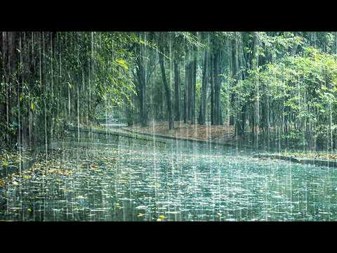 Rain Sounds to Fall Asleep Fast at Bedtime | Heavy Rain ASMR, Insomnia, Tinnitus &amp; Stress Relief