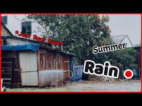 Real Summer Rain Sounds 🌧️ | Filmed by Me (No Loop, Natural Ambience for Sleep &amp; Focus)