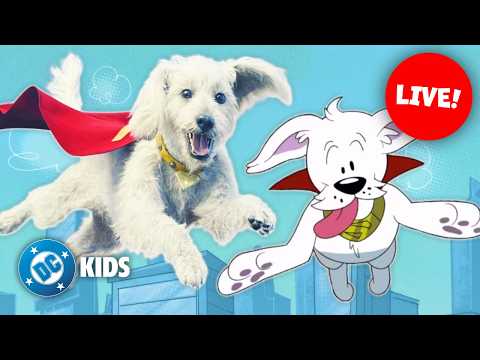 🔴 LIVE! Fly with Krypto 🦸🐾 | Krypto Saves the Day! Superman Ambience | @dckids