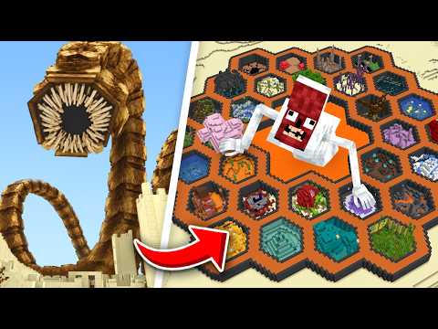 THE WORM ZOO TIMELINE