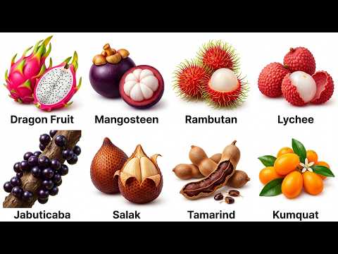 All Exotic Fruits Explained