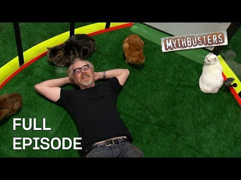 Can You Actually Herd Cats? | MythBusters | S8 E21 | Full Episode