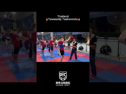 Taweesilp Taekwondo  #taekwondo #용인대태비태권도